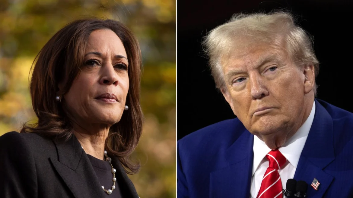 Donald Trump & kamla Harris were Depand on India For win the election 2024