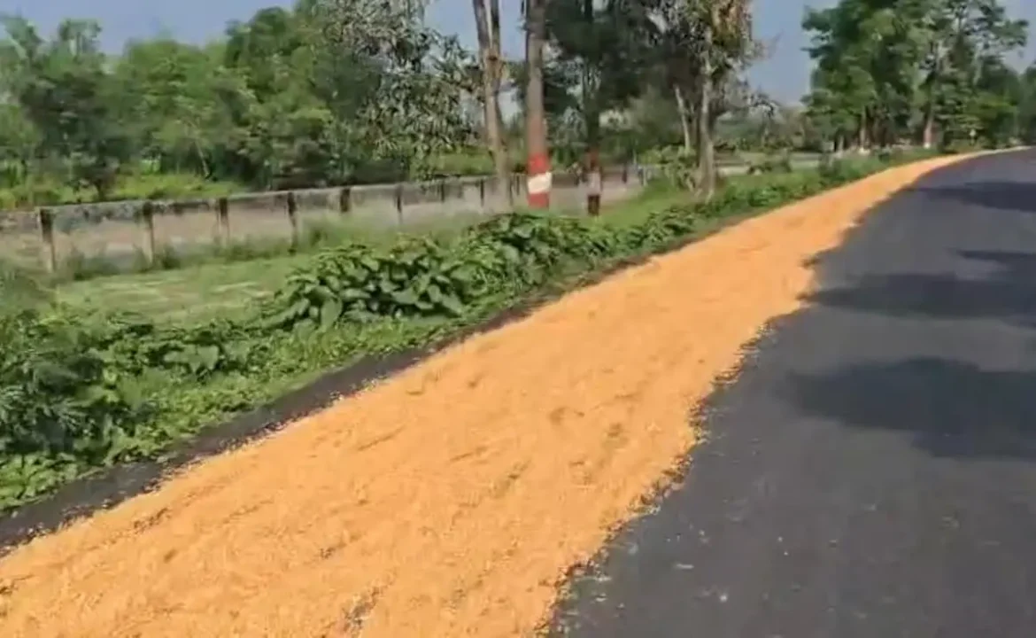 Bihar : के कटिहार में सड़कों पर मक्का सुखाने की वजह से सड़क हादसों की संख्या बढ़ गई है। 6 महीने में 150 हादसे और 99 मौतें हुई हैं। प्रशासन ने अब मक्का सुखाने पर सख्ती शुरू की है।