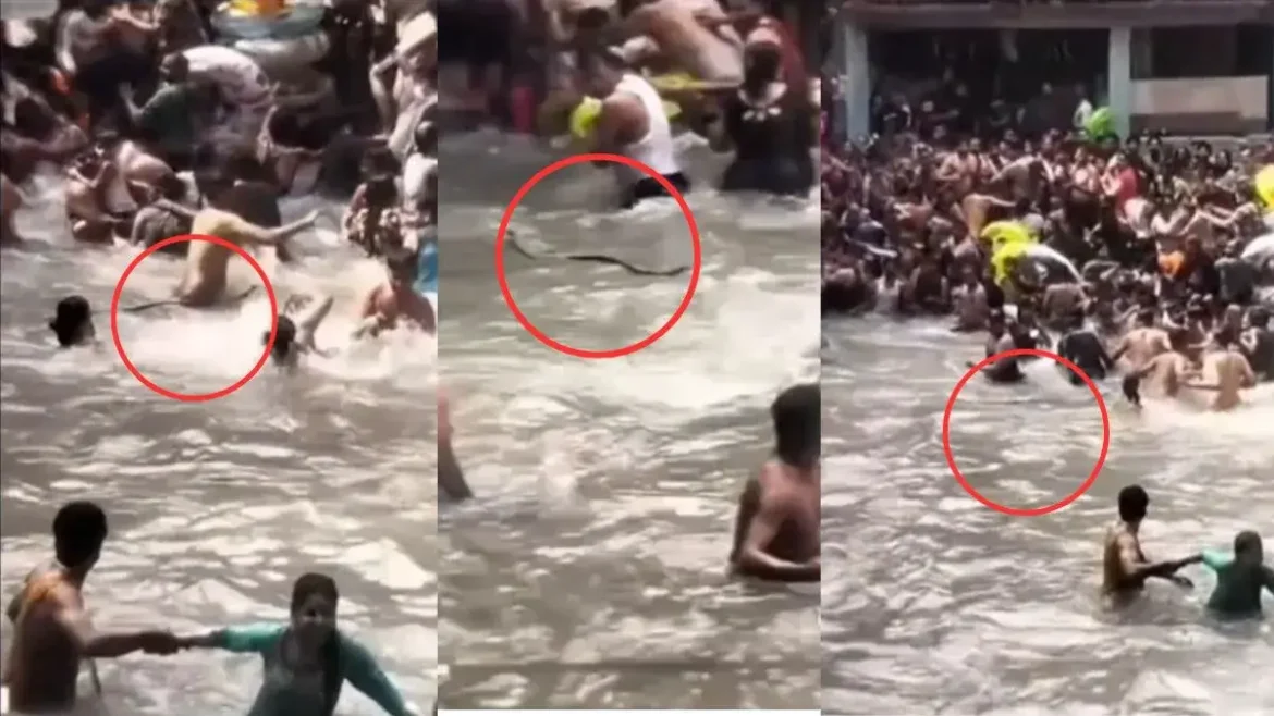 Snake Enters Kempty Fall