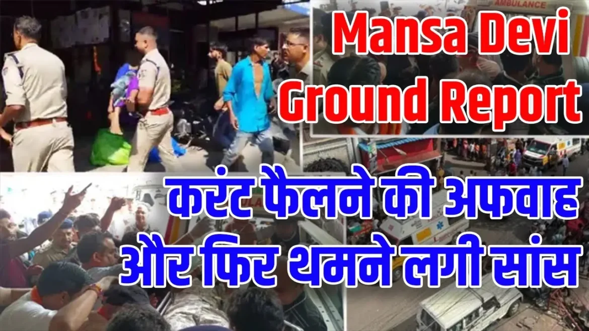 Mansa Devi Ground Report
